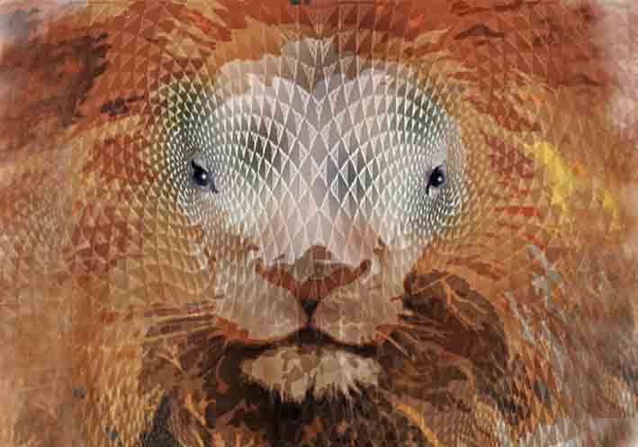 Leo (Serie «Zodíaco»)