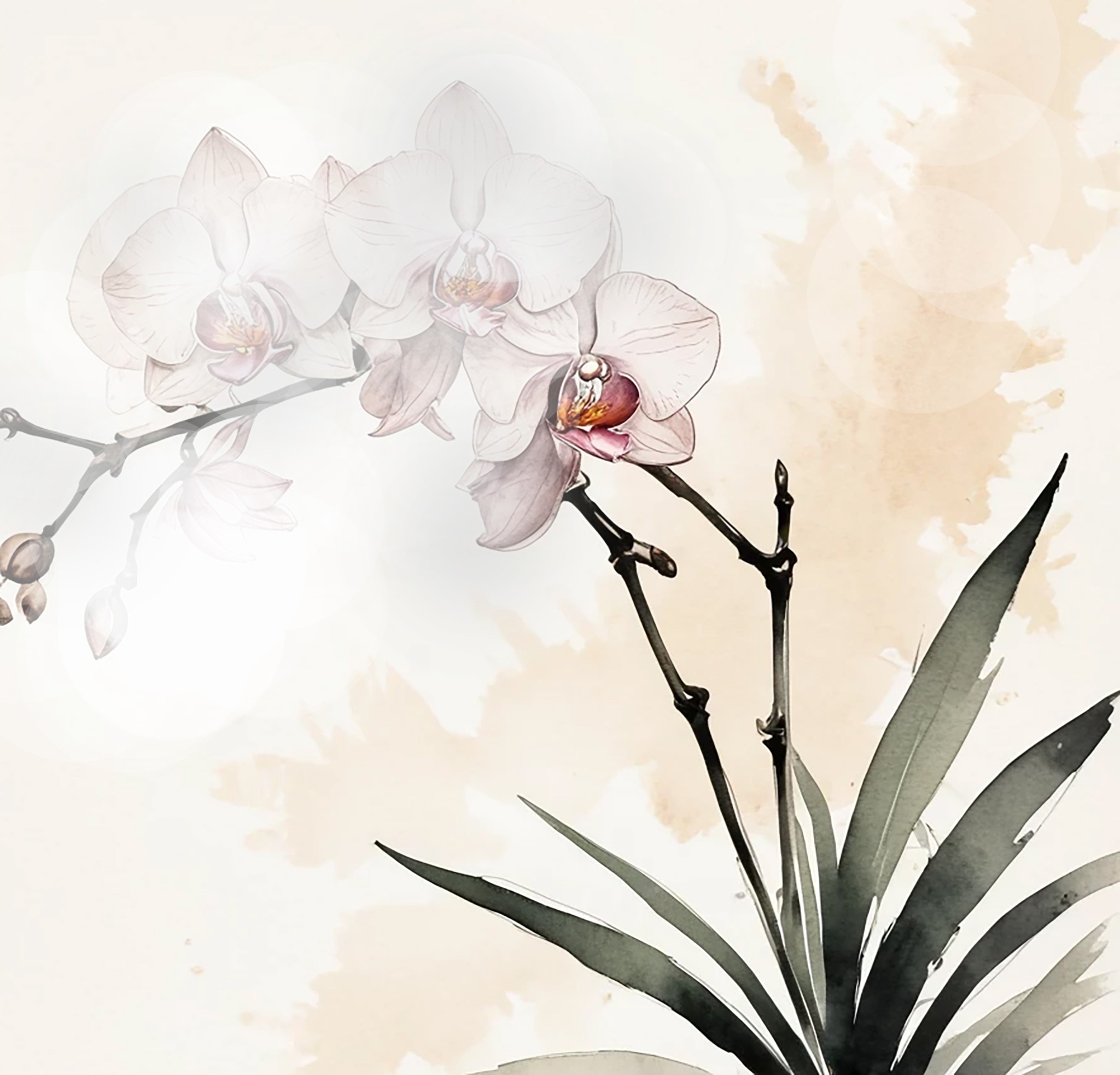 Ilustración para el Tao Te Ching
