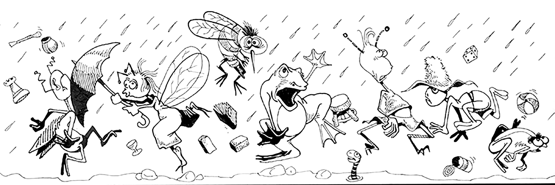 Bichos (para libro infantil)